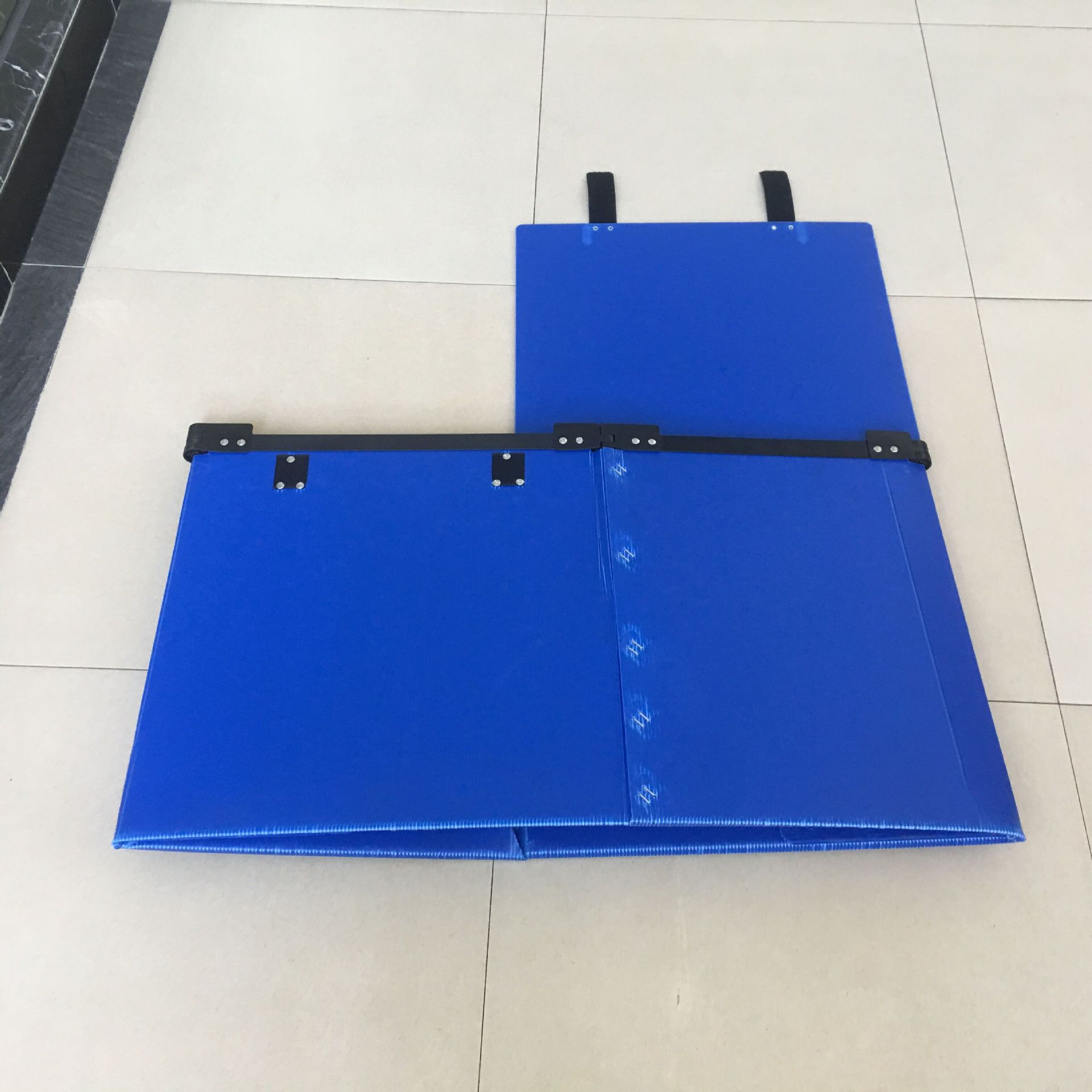 蓝色 PP 中空板折叠周转箱展开展示